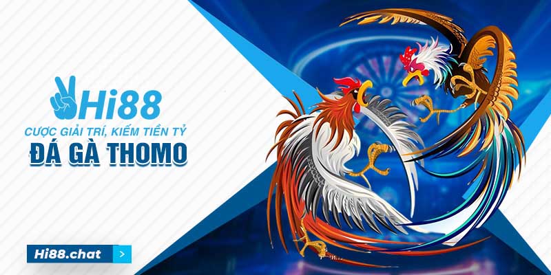 Đá Gà Thomo Là Gì? Xem Chọi Gà Ở Đâu Uy Tín Nhất Hiện Nay? 8 đá gà thomo
